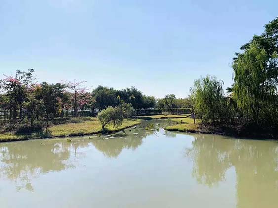 团建回顾|华阳湖大挑战！寻找和生“三好青年”？